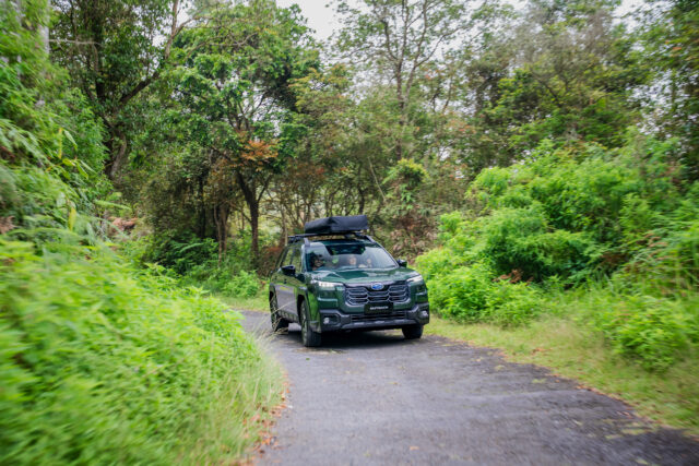 DSC08085